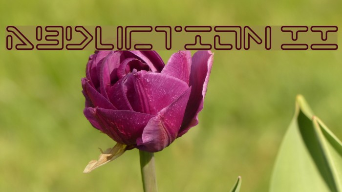 Abduction II Example 1