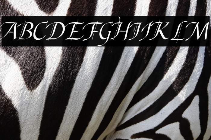 Abdullah Italic Example 1