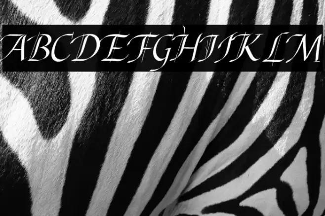 Abdullah Italic Font examples