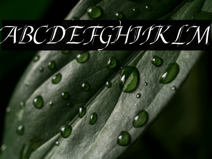 Abdullah Italic Example 3