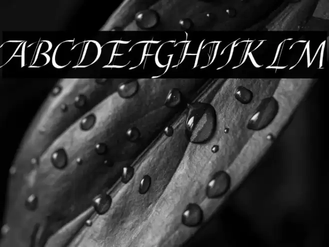 Abdullah Italic Font examples