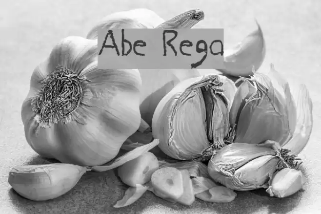 Abe Regular Font examples