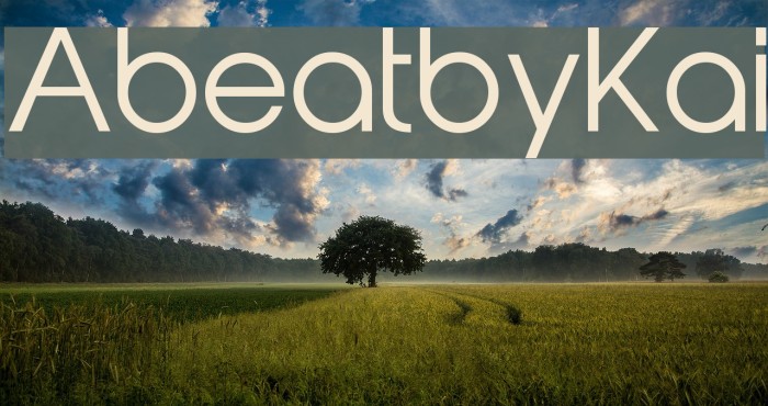 AbeatbyKai Font examples