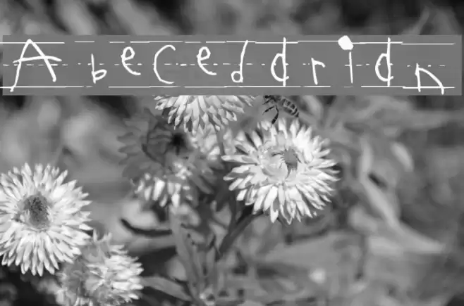 Abecedarian Polices examples