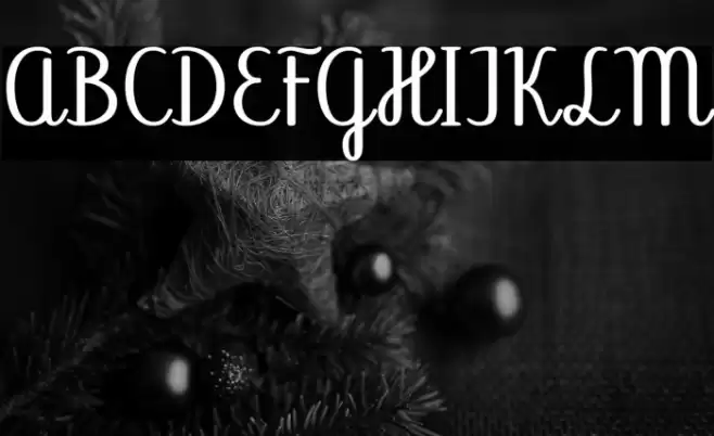 Abecedary Regular Font examples