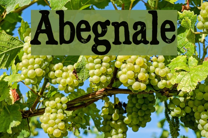 Abegnale Font examples