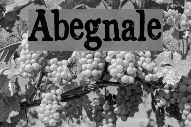 Abegnale Fonte examples