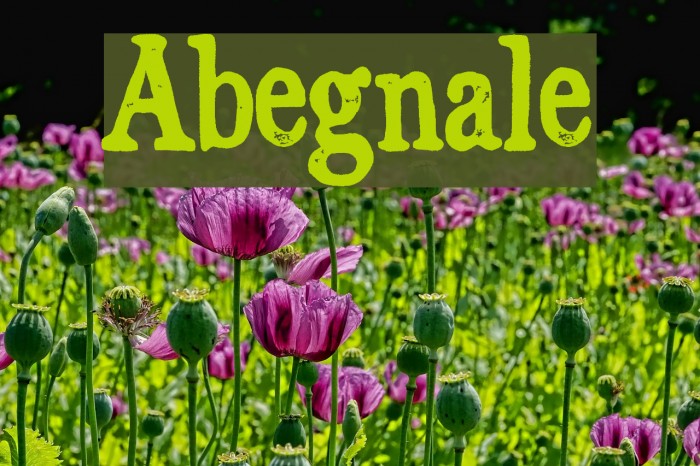 Abegnale Font examples