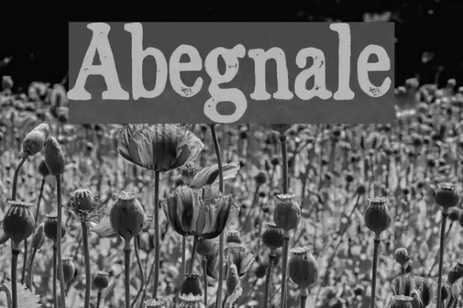 Abegnale Fonte examples