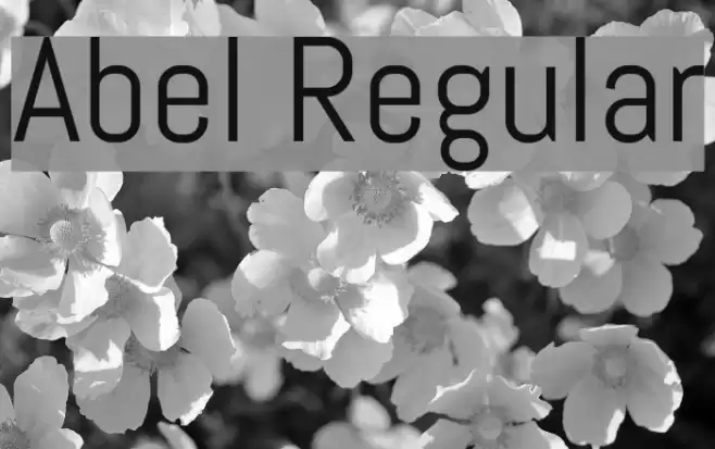 Abel Regular Font examples