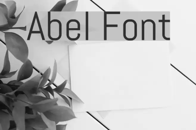 Abel Font examples