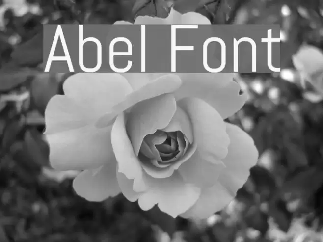 Abel Font examples