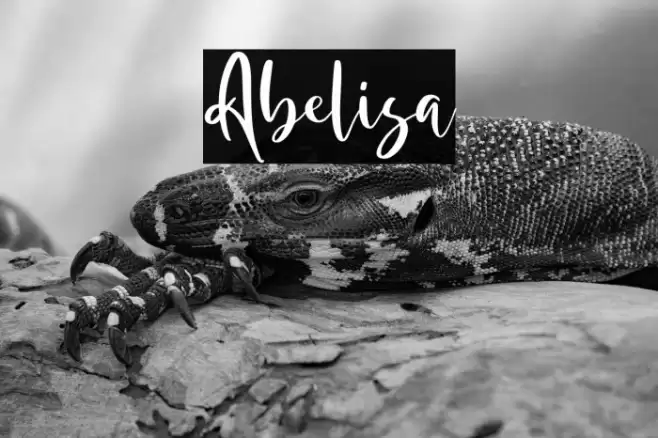 Abelisa Font examples