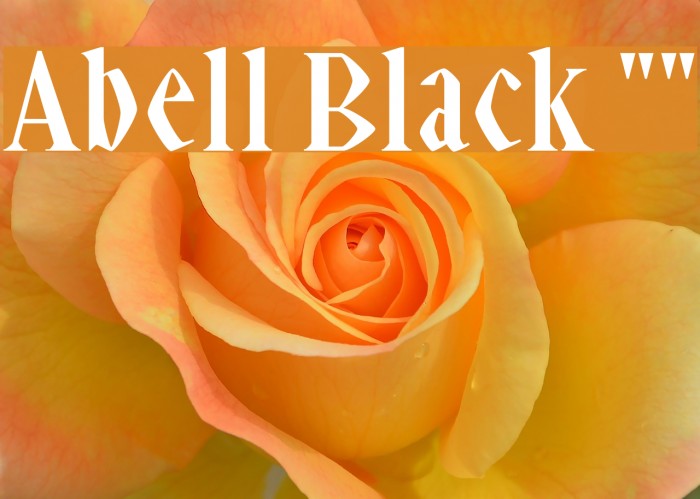 Abell Black "" Example 1