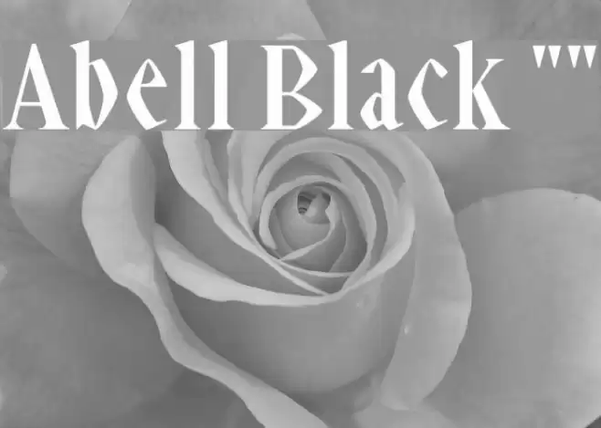 Abell Black 