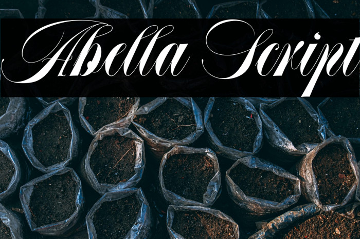 Abella Script Example 2