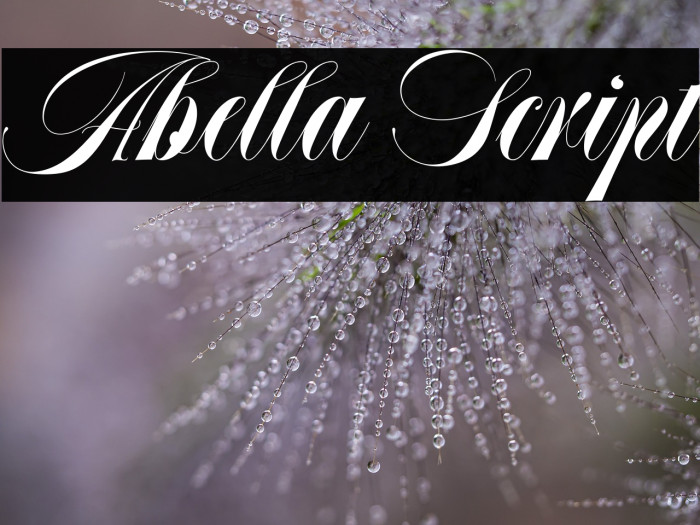 Abella Script Example 3