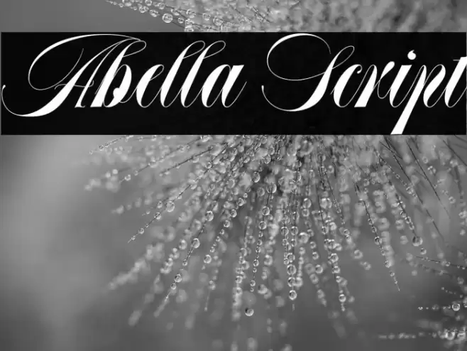 Abella Script Шрифта examples