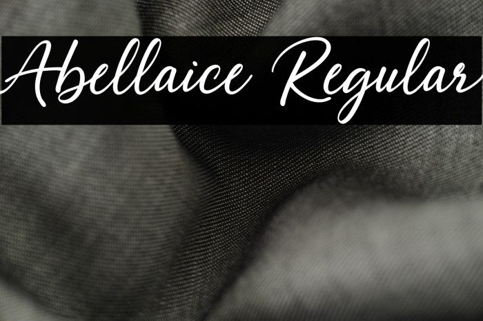 Abellaice Regular Example 1