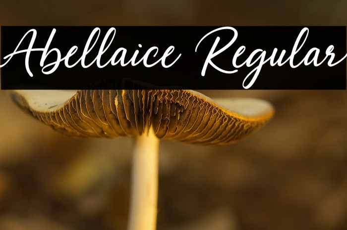 Abellaice Regular Example 2