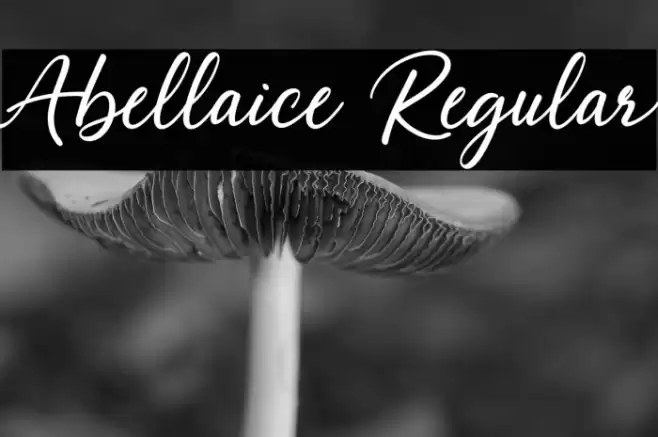 Abellaice Regular Font examples