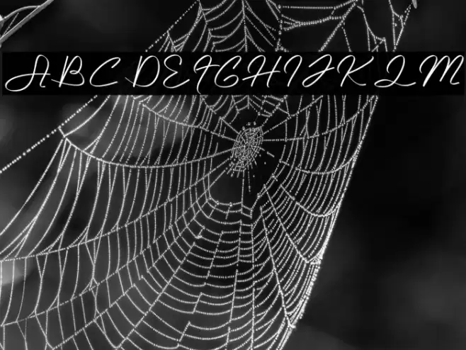 Abelle Font examples