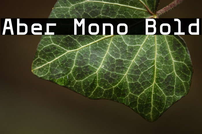 Aber Mono Bold Example 1