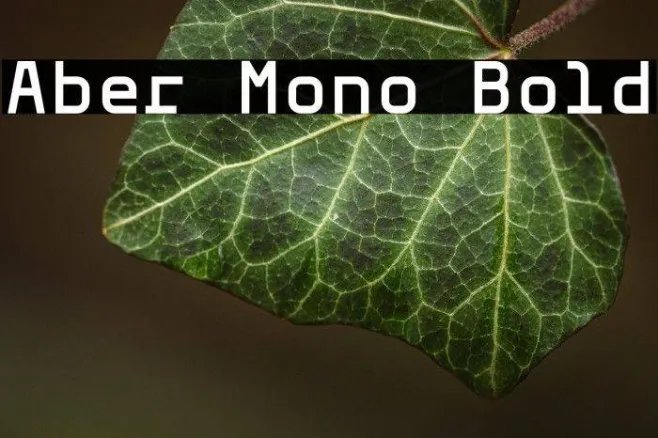 Aber Mono Bold Example 1