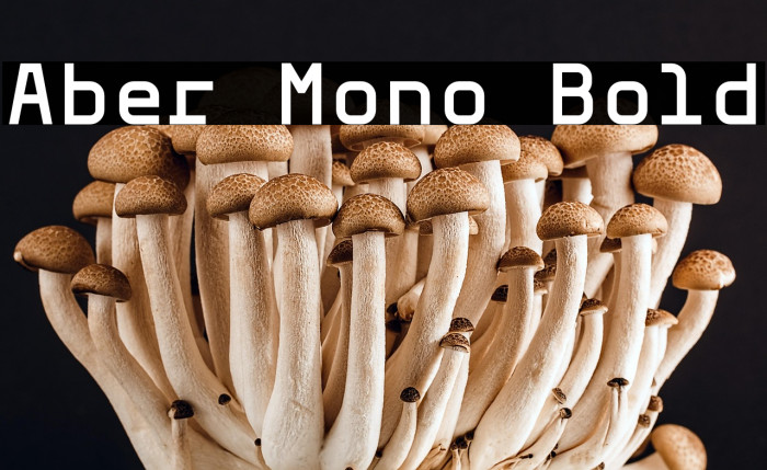 Aber Mono Bold Example 2