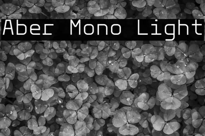Aber Mono Light フォント examples