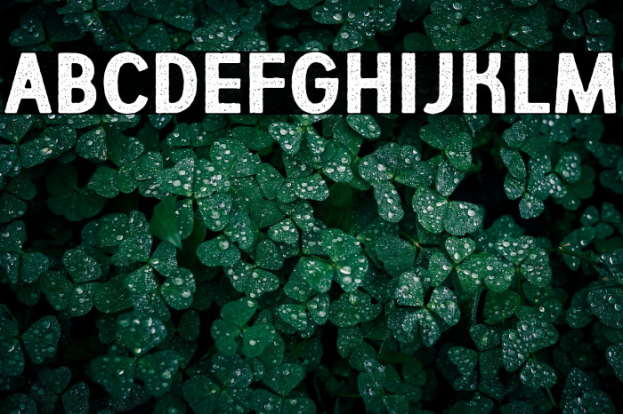 Aberforth Rough Example 3