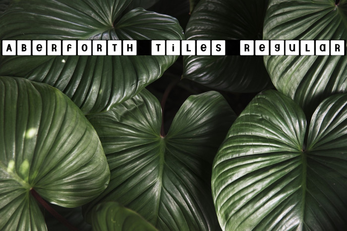 Aberforth Tiles Regular Font examples