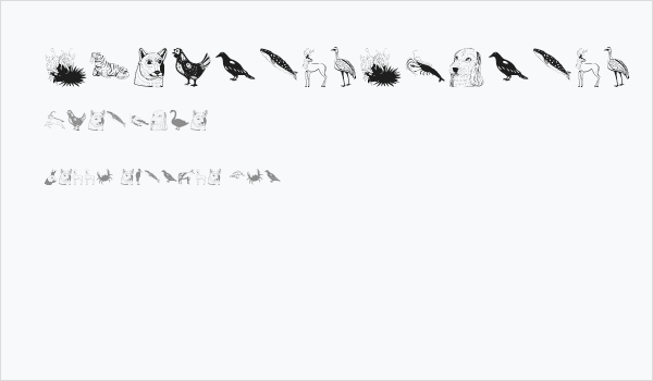 AbermalsAnimals Business Card