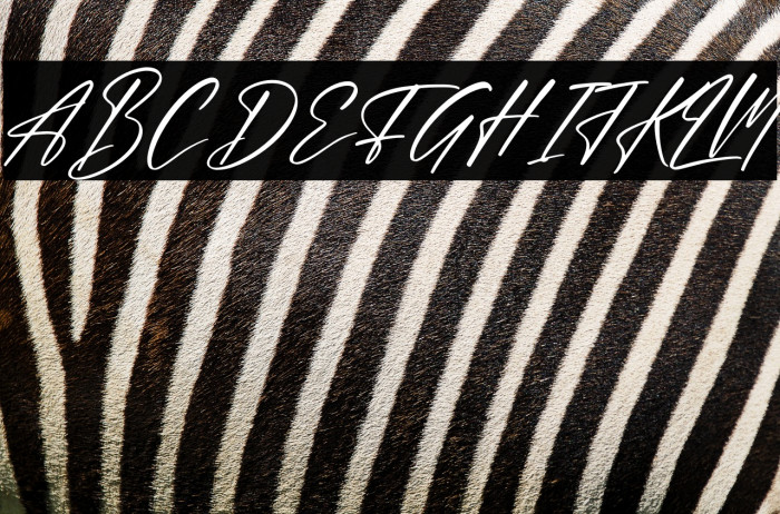 Abessom Italic Example 1