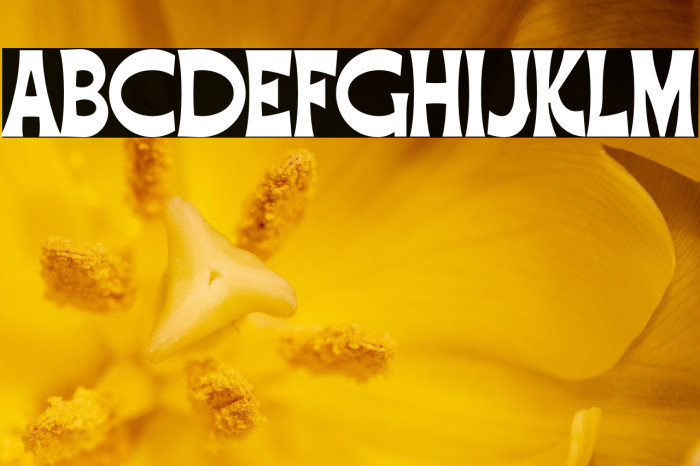 AbhartachDEMO Example 2