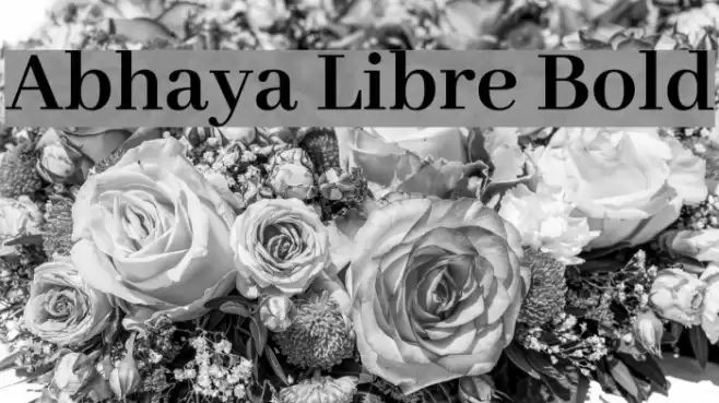 Abhaya Libre Bold Font examples