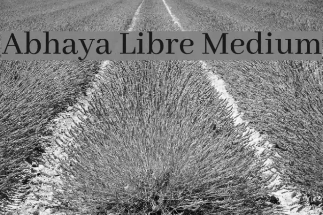 Abhaya Libre Medium Font examples