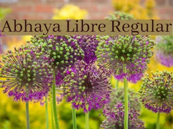 Abhaya Libre Regular Example 2