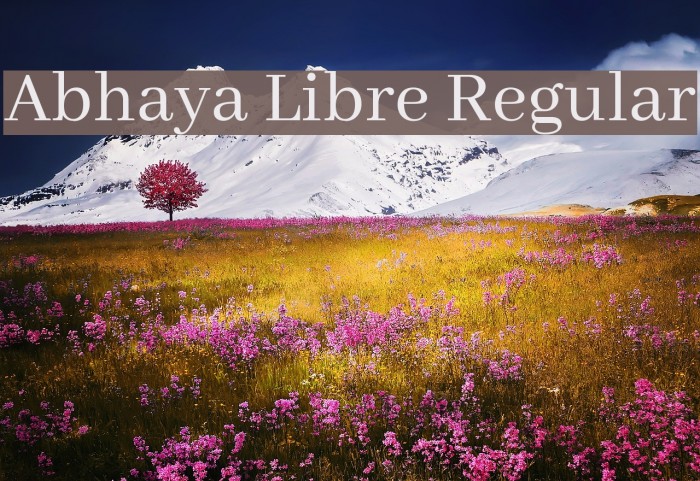 Abhaya Libre Regular Font examples