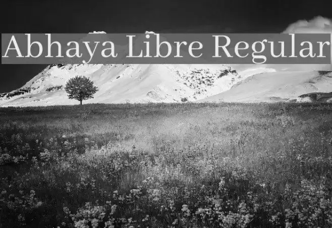 Abhaya Libre Regular Example 3