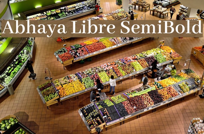 Abhaya Libre SemiBold Font examples