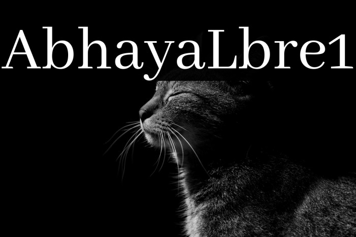 Abhaya Libre1 Example 2