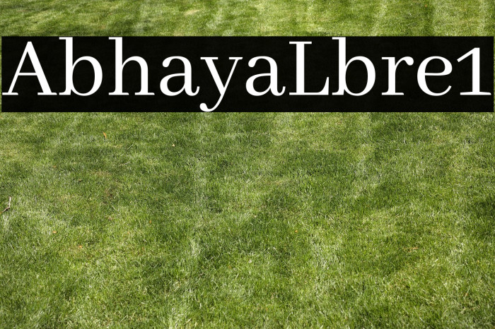 Abhaya Libre1 Example 3