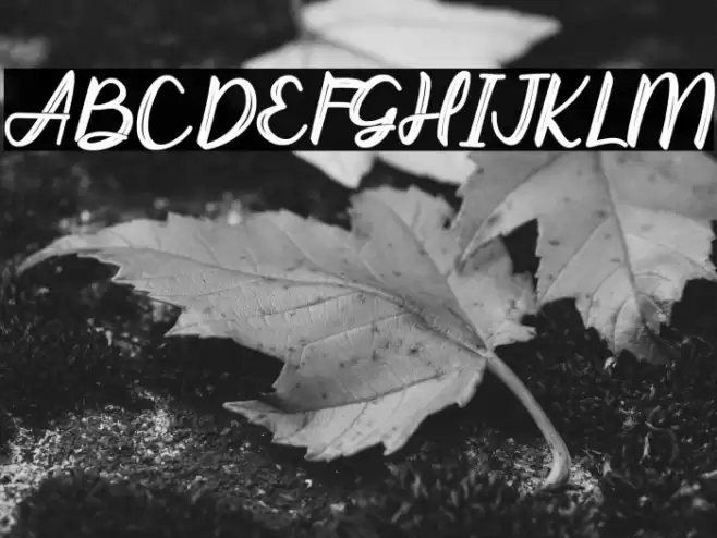 Abhayas light Font examples