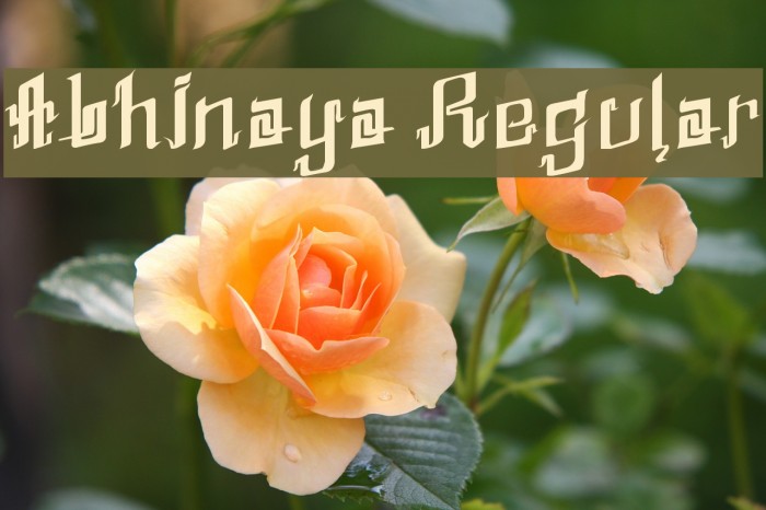 Abhinaya Regular Font examples