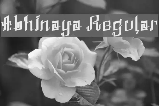 Abhinaya Regular Example 1