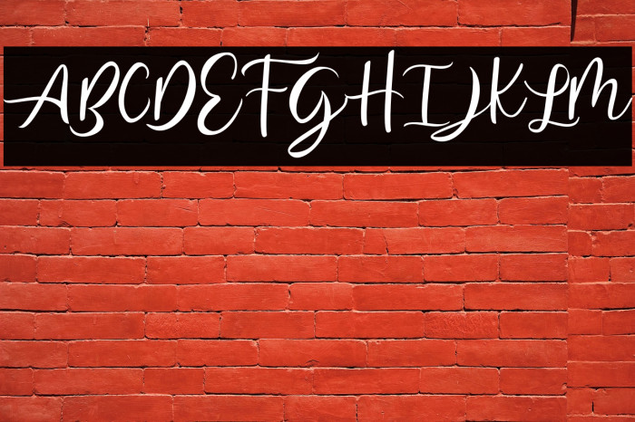 AbhyaksaFREE Example 3