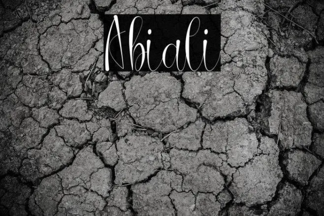 Abiali Example 2