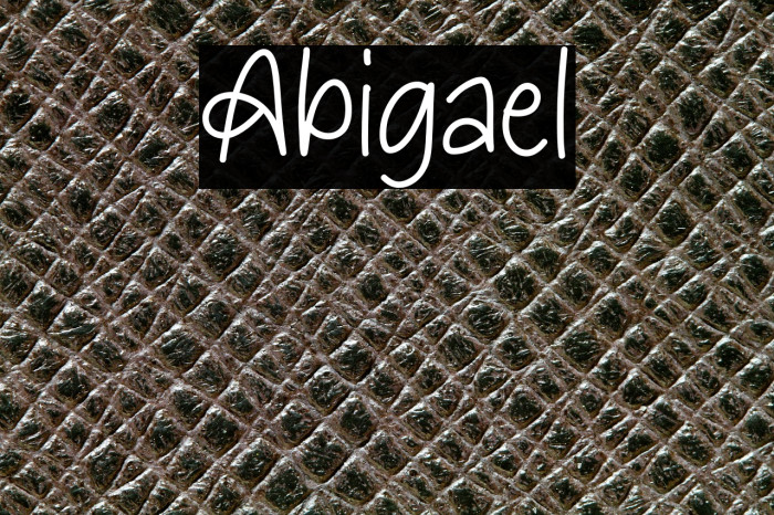 Abigael Example 2