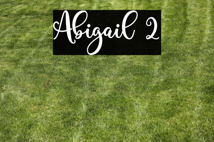 Abigail 2 Example 1